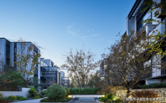 通过泛星灯光、景墙的点缀