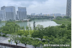 广州从城稀缺的高端改善项目